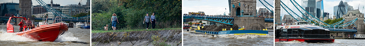 Thames Green Scheme: Independent environmental performance indicator for inland waterways